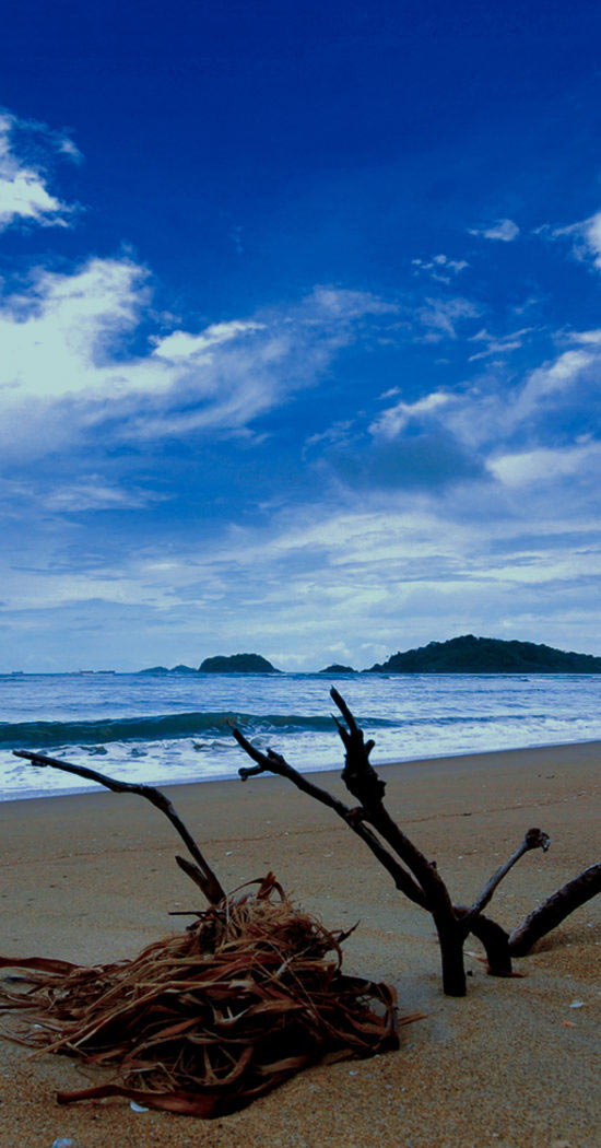 Devbagh Beach, Karwar, Karnataka